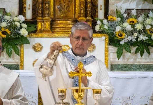 Il nostro Vescovo Fernando è sacerdote da 46 anni. Nel giorno dell'anniversario ...